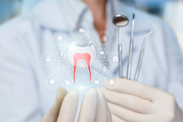 Best Full Mouth Reconstruction  in Gautier, MS